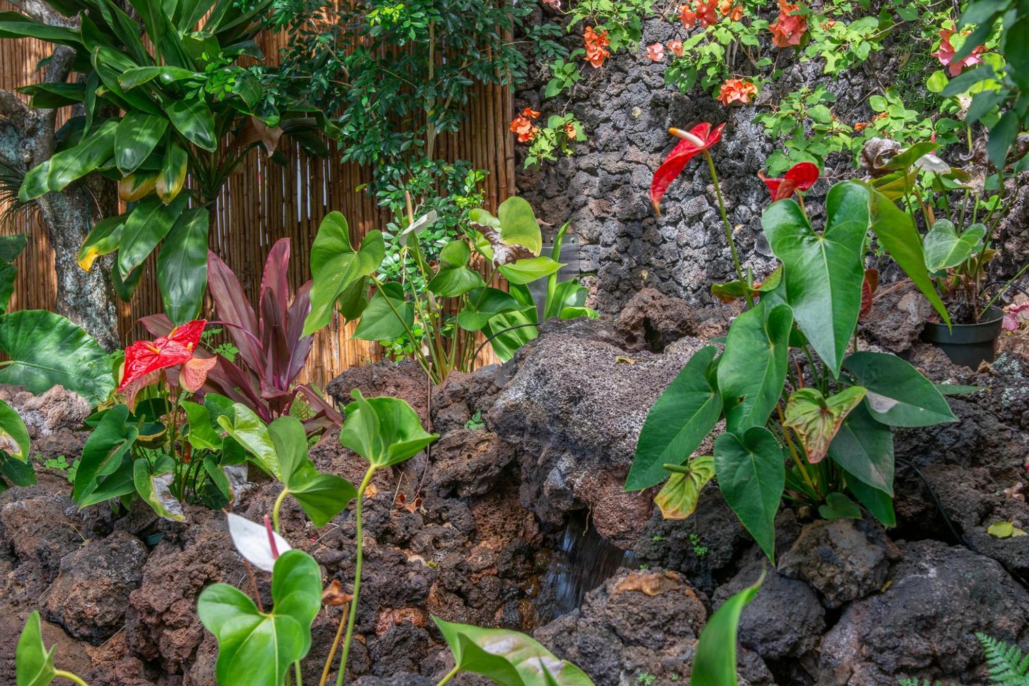 Napili Surf Beach Resort By Castle Kapalua Exterior foto